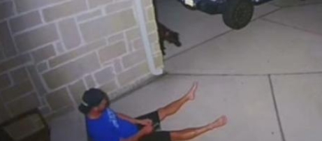 L’homme assis dehors pendant des heures fait son possible pour attraper un chien et le sauver